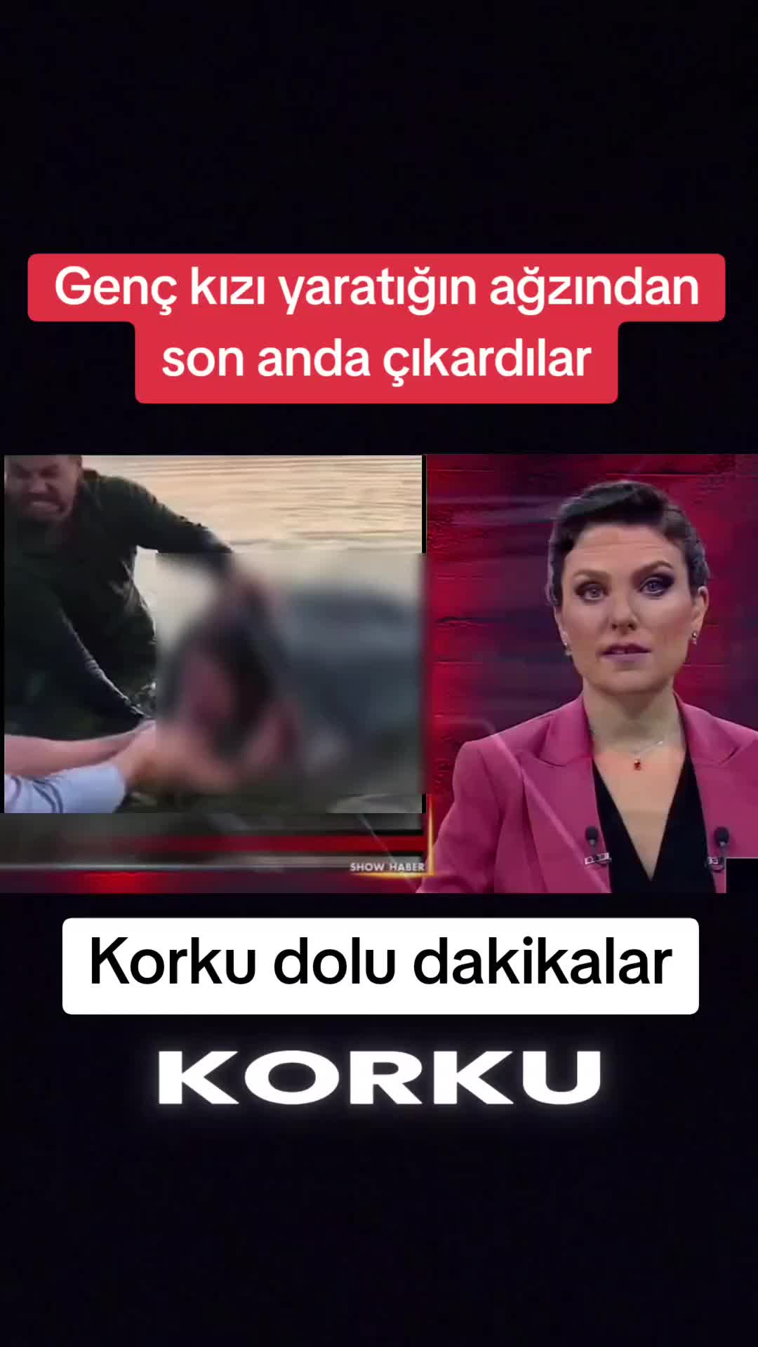 @🌐News_Blitz🌐