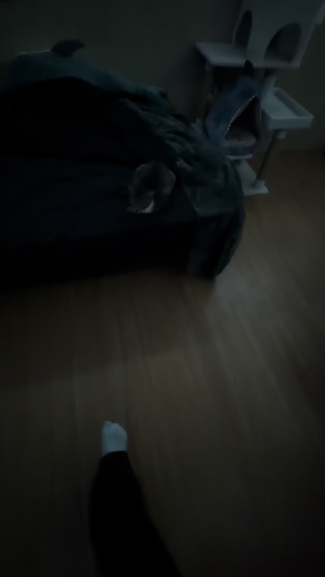 @Socks