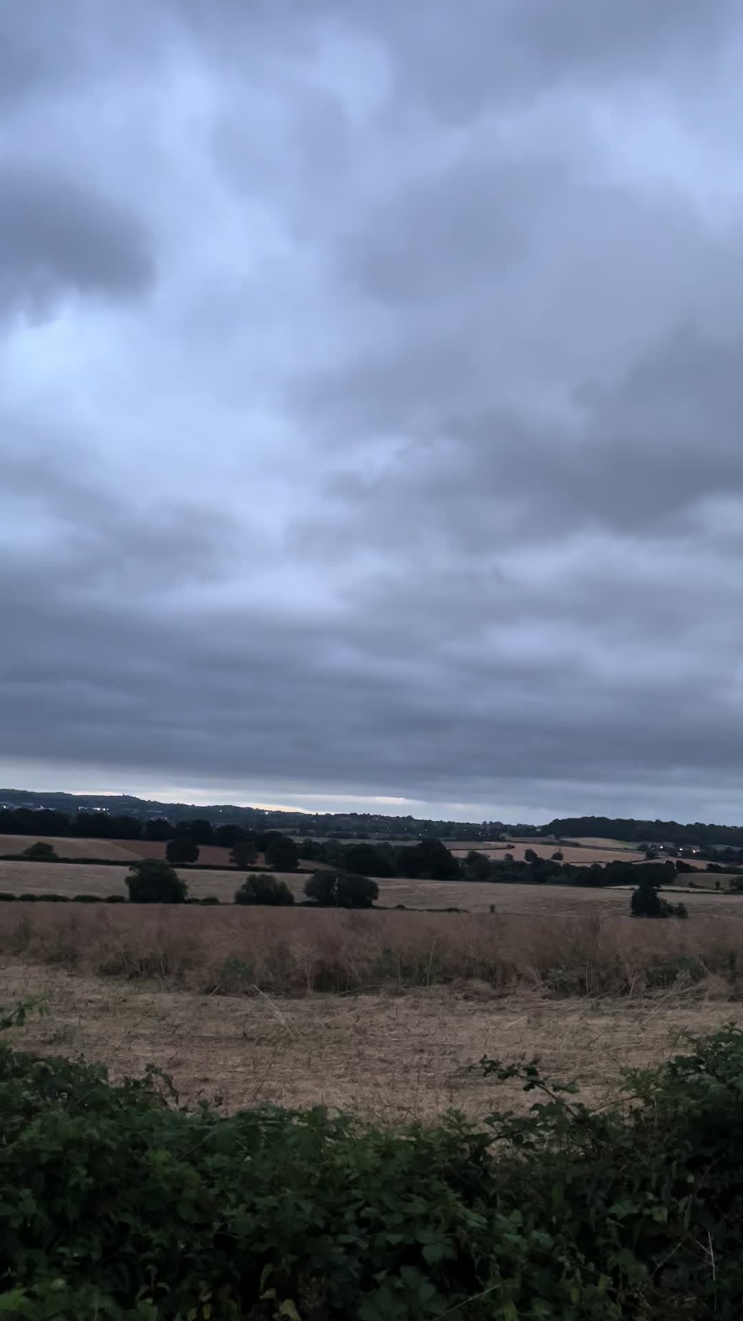 @Best TikTok
