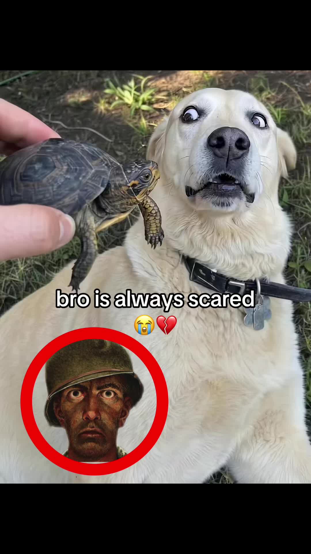 @bababooy1.2