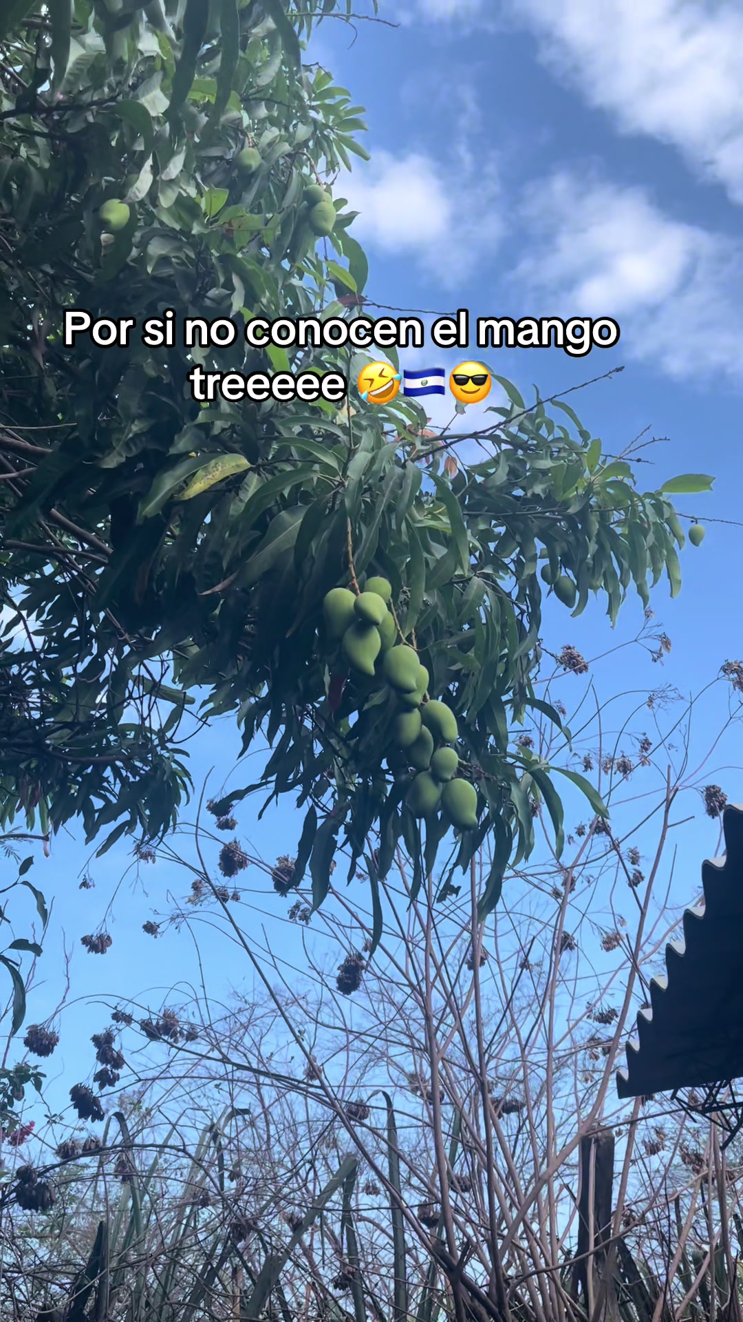 @Anabel ๐ค ๐