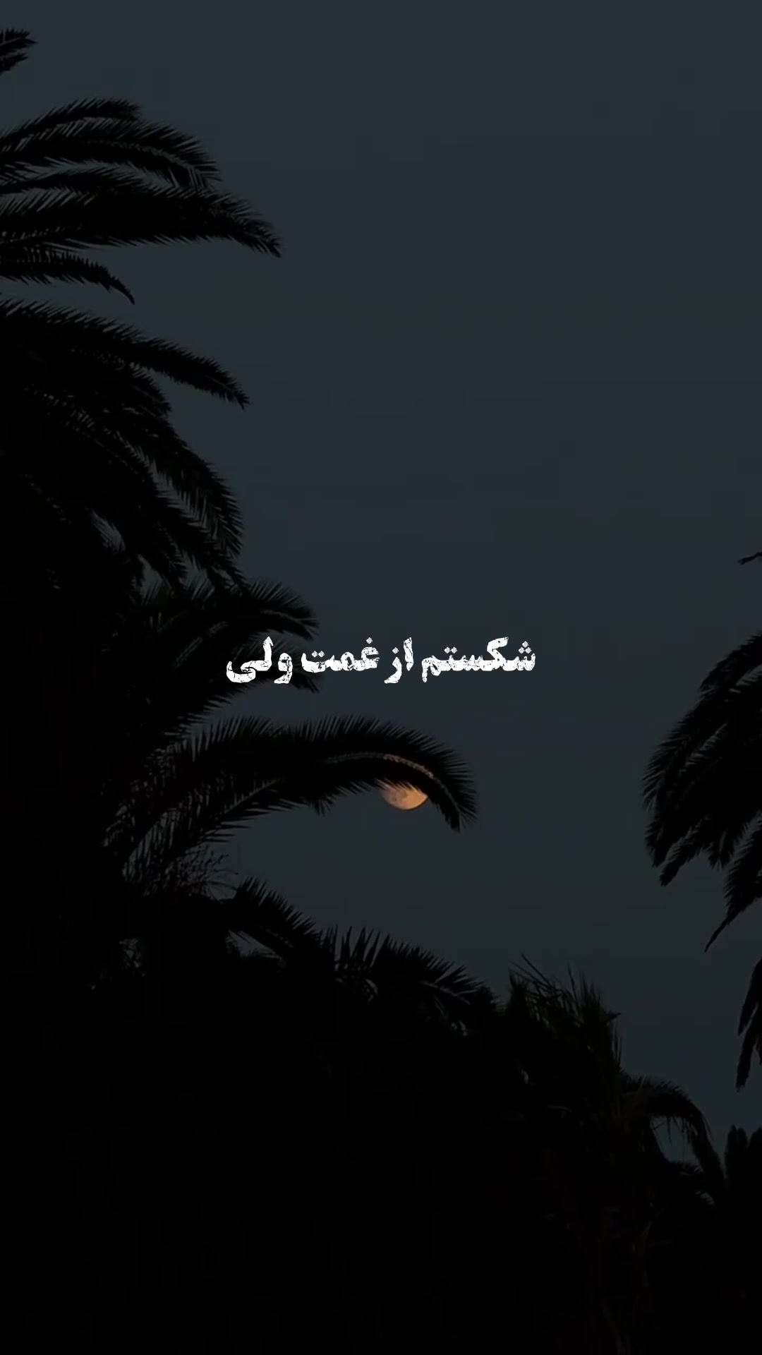 @ððð£ð.ðððð¡ð§á¥«á¡