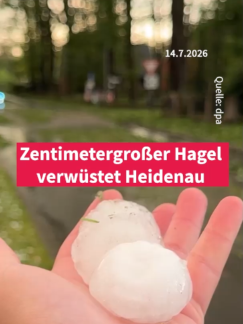 @Frankfurter Allgemeine