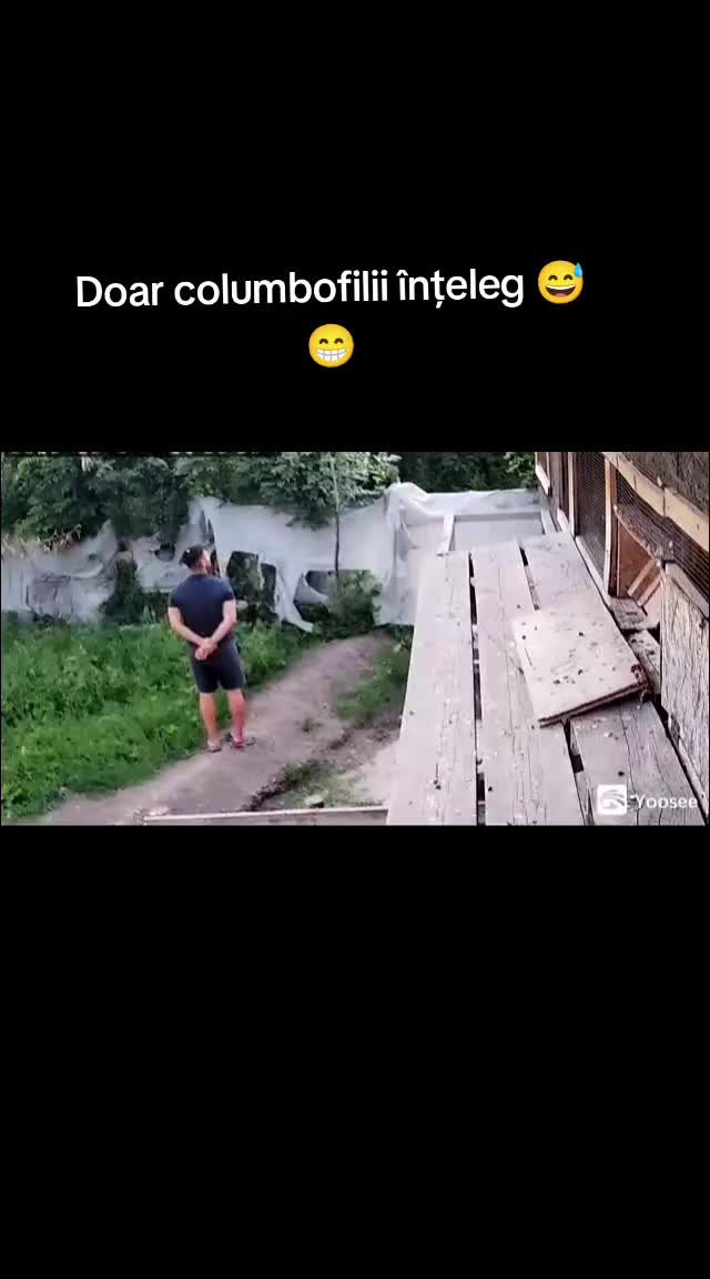 @(Frații Coman)
