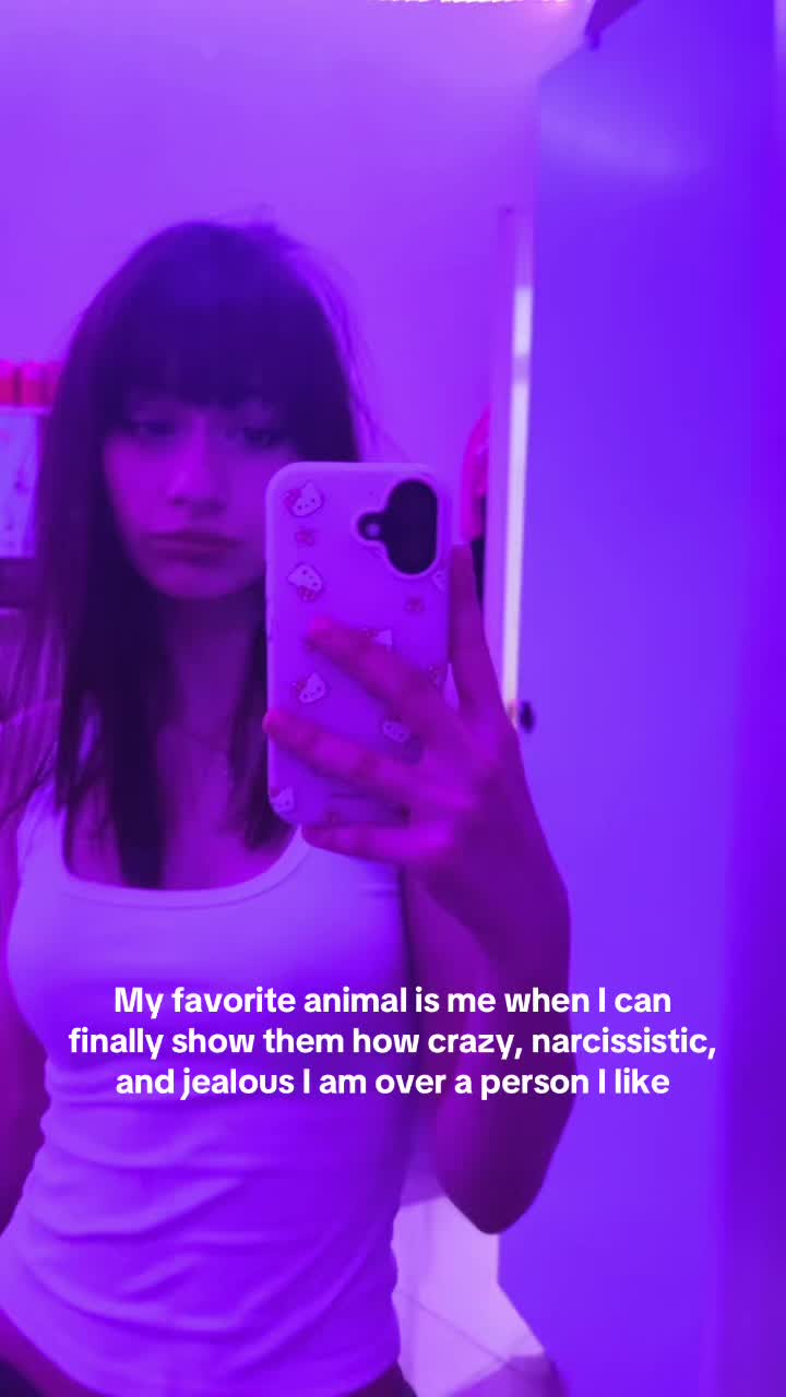 @little kitten