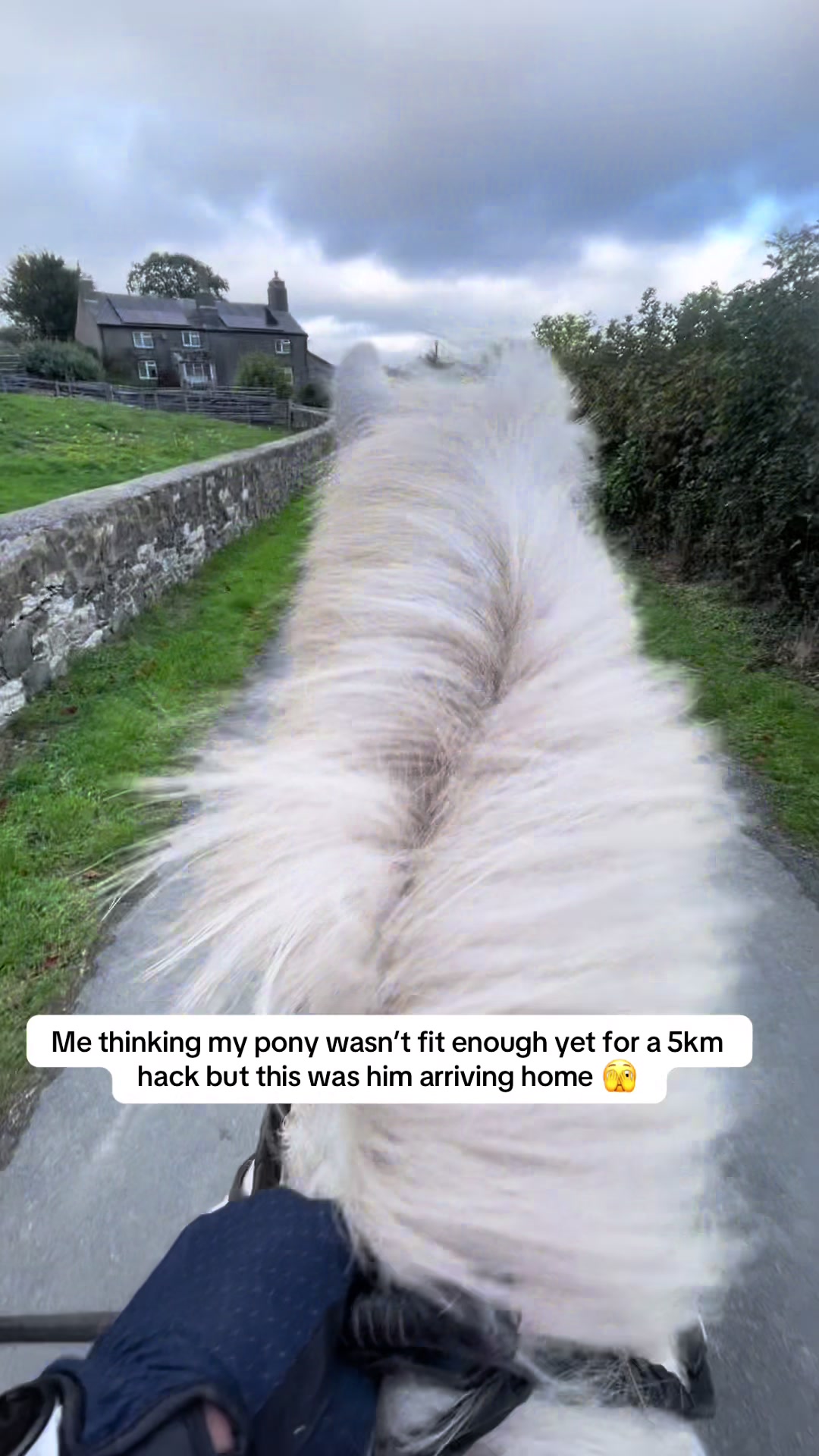 @jodiehenley