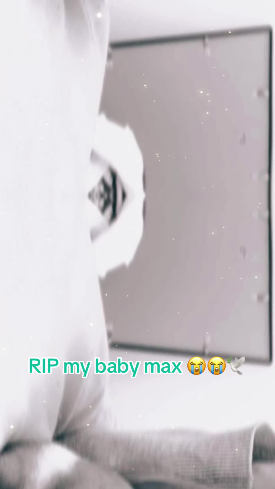 @RůŽeŅkA🦋
