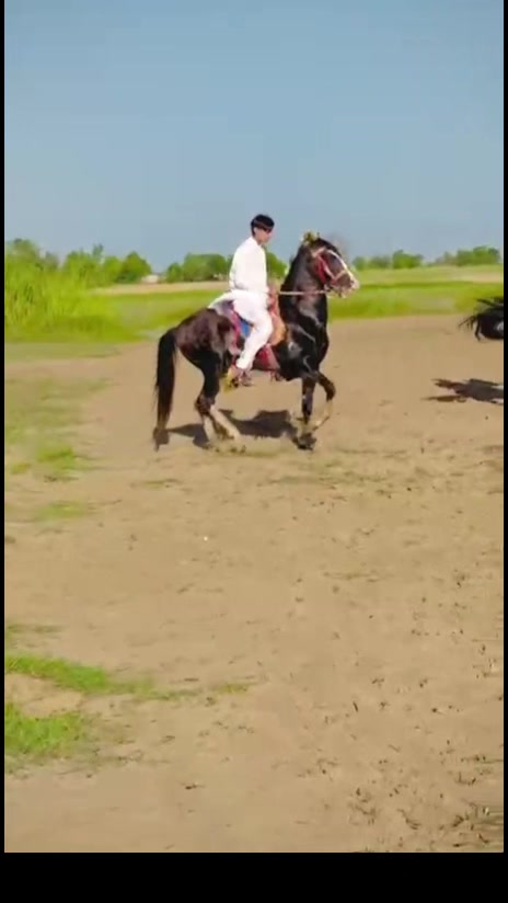 @چوہدری علي حسن كالا كمالا