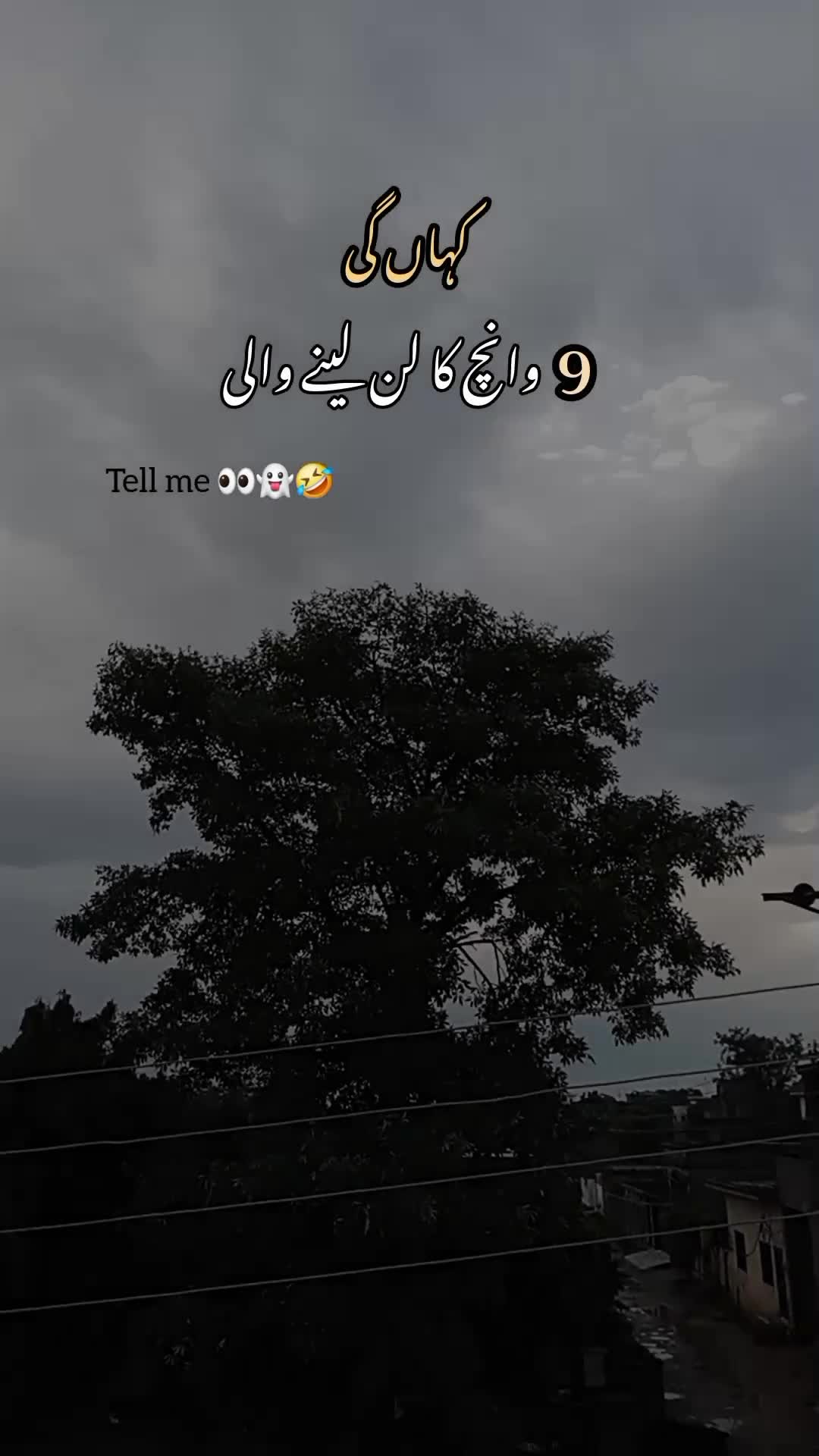 @Noor 𓍯𓂃ᥫ᭡.