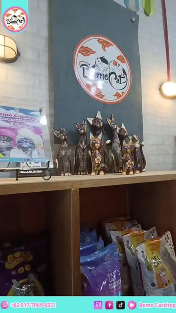 @Bemo Catshop