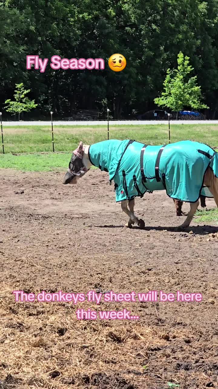 @Small Town Farm LLC