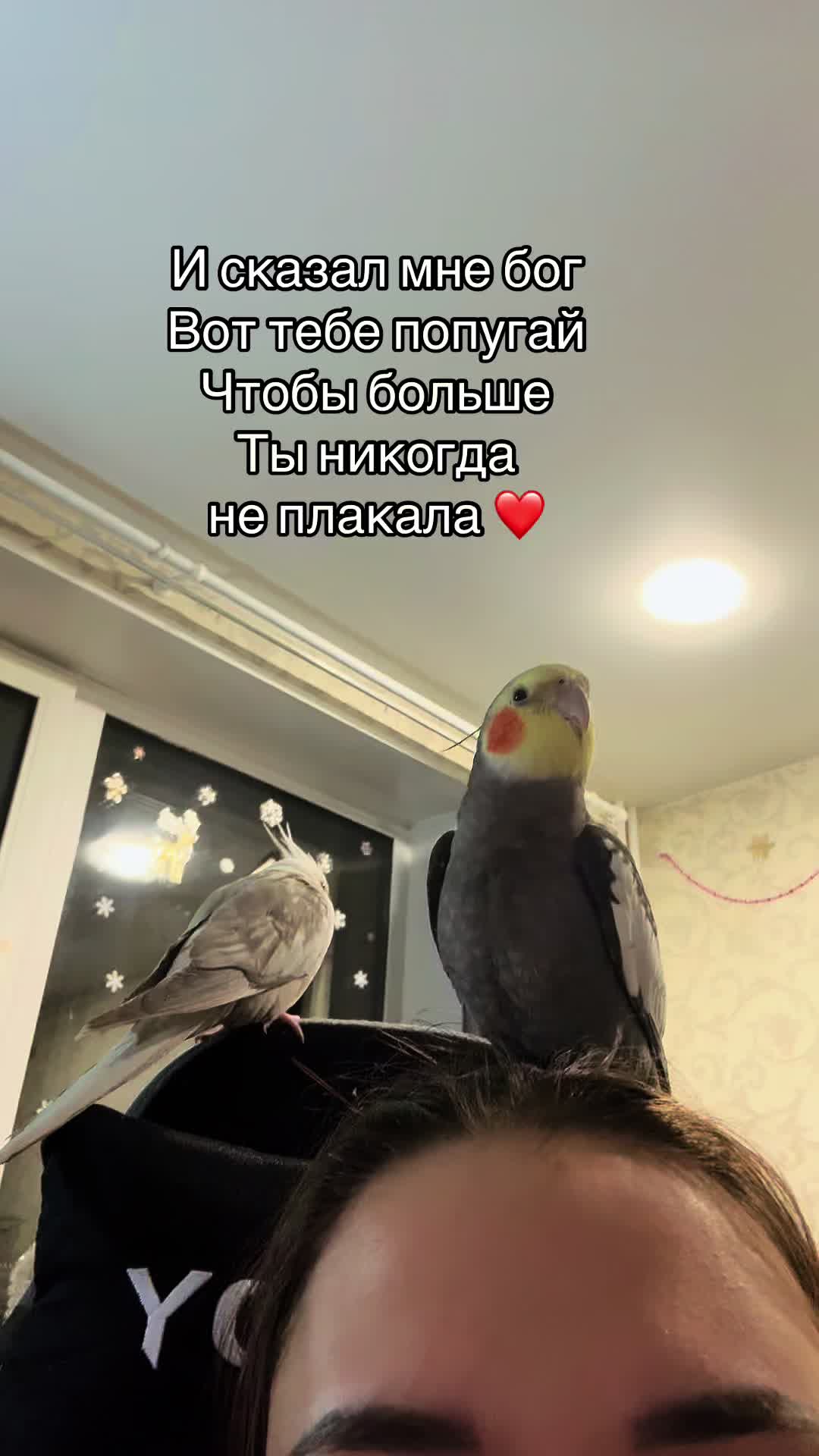 @𝓘𝓛𝓐𝓝𝓐 and Lelik