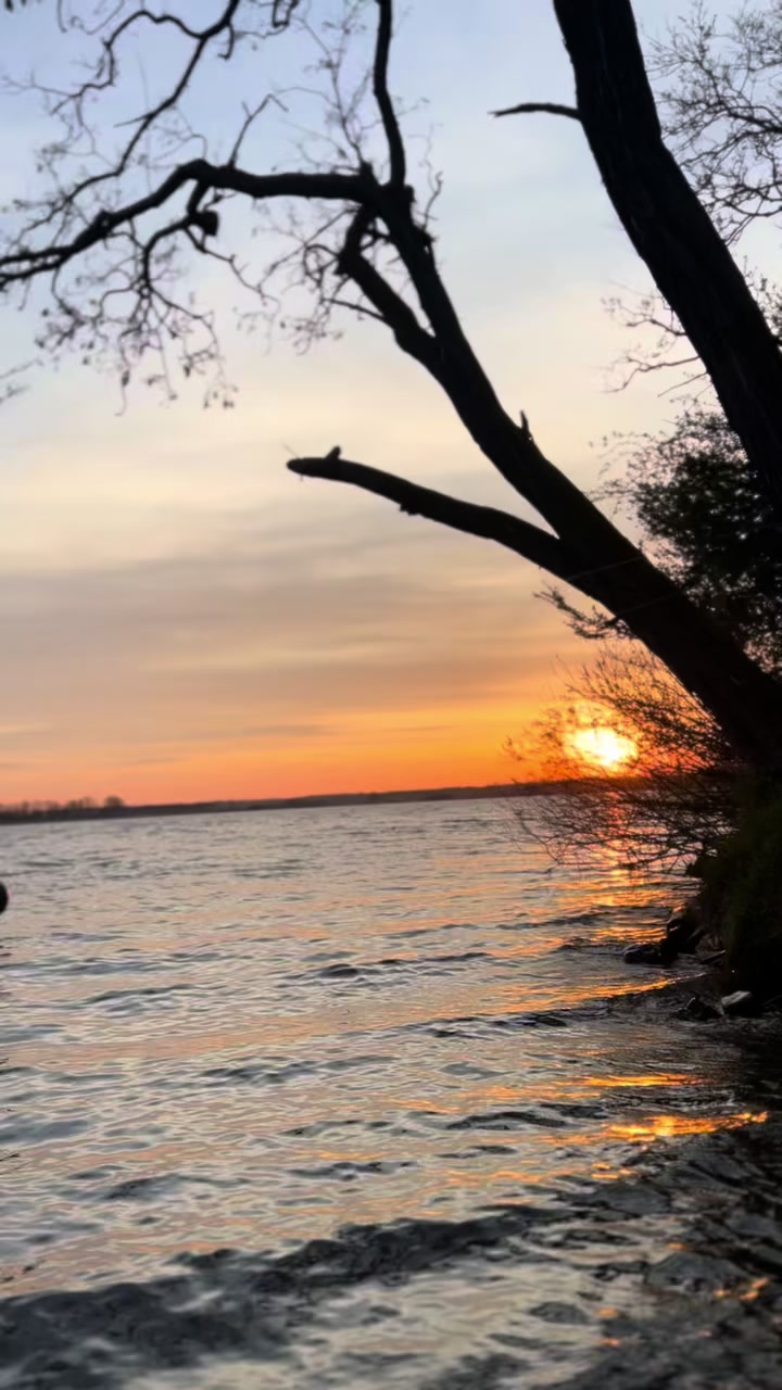 @BlizzCarp