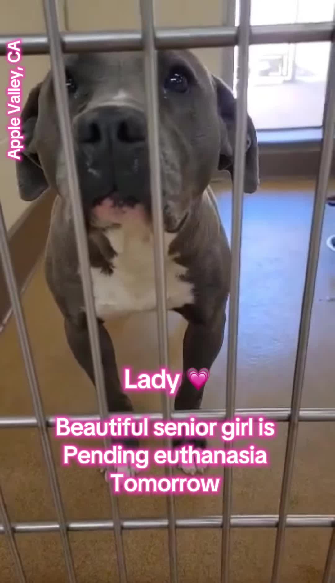 @Honey_323