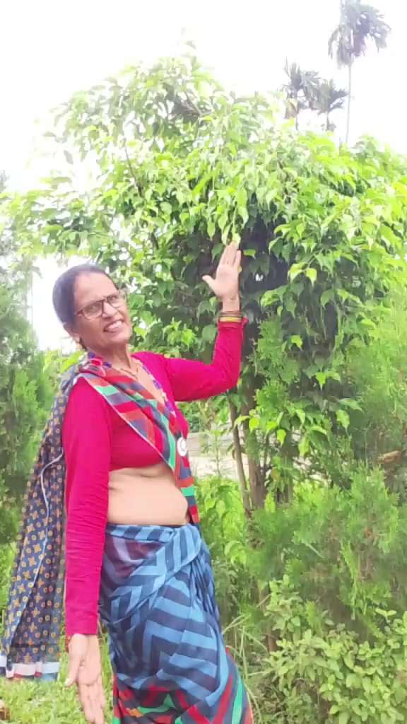 @kamalawagle00