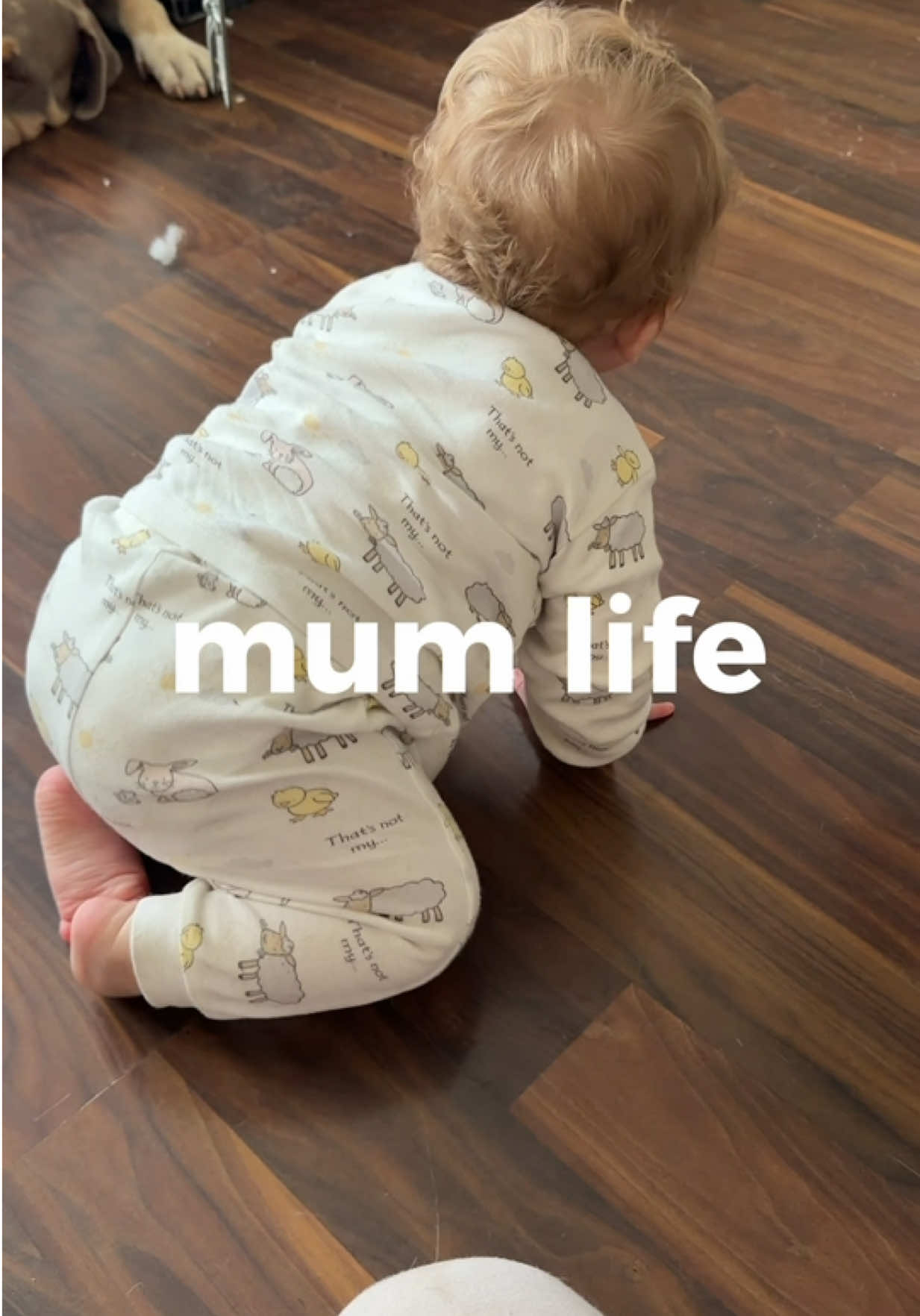 @danandthebabies🤍