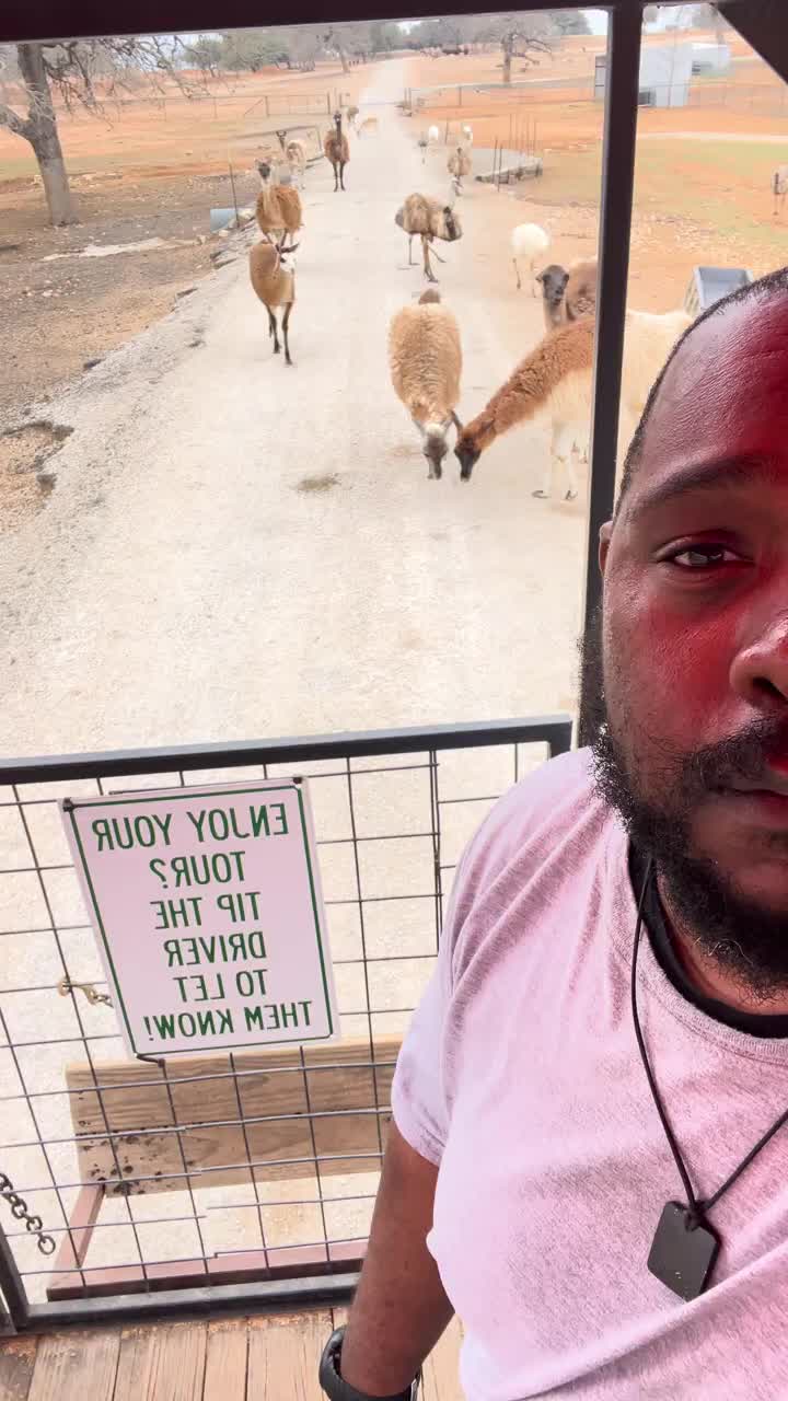 @Hubertcampbelltravels