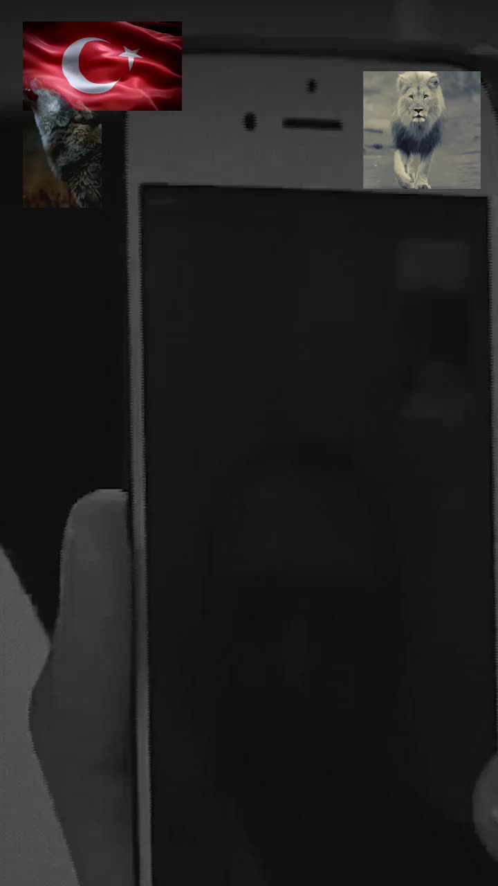 @🇹🇷🦈 Yavuz Ayık
