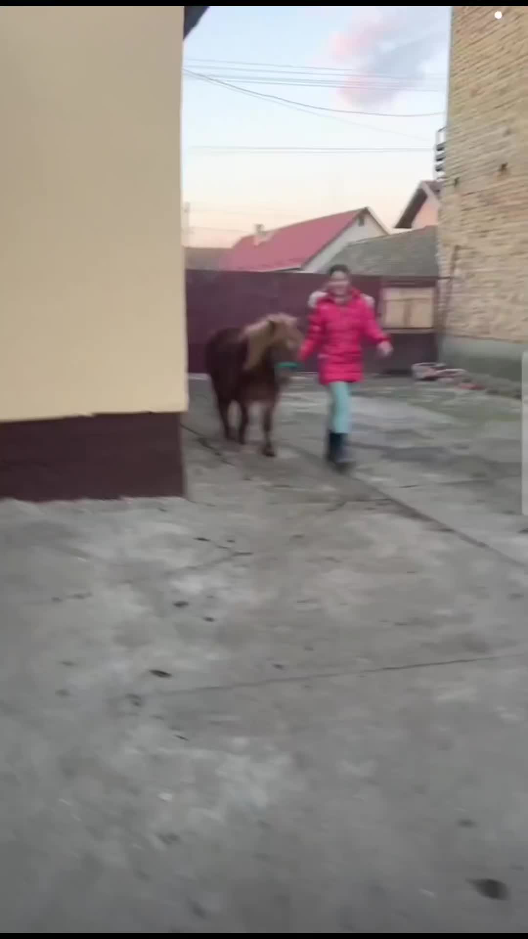 @Ana🤍
