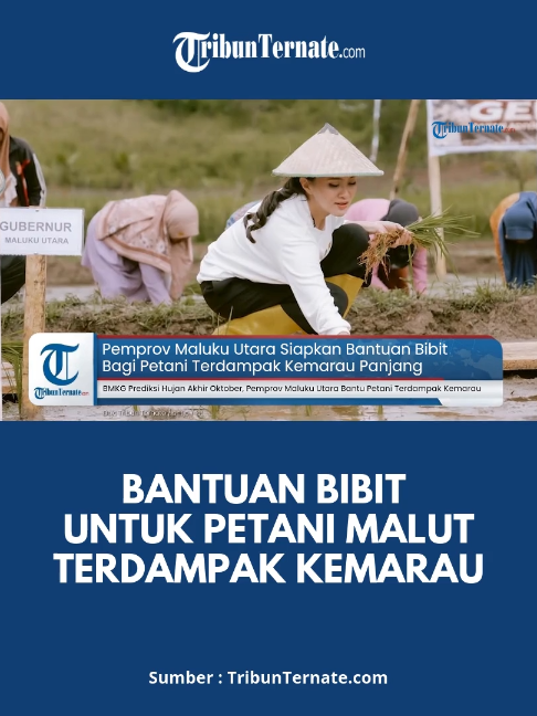 @TribunTernate.com