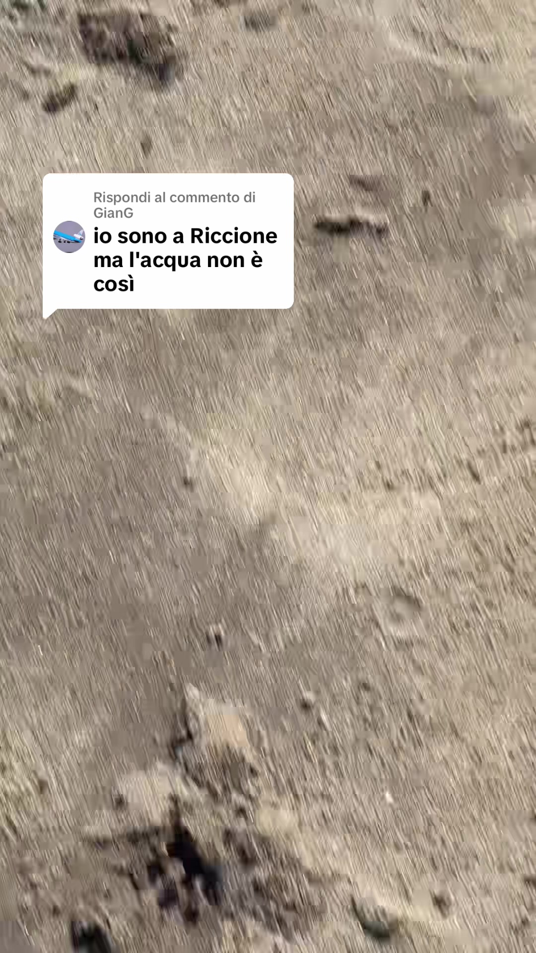 @Martino_donna