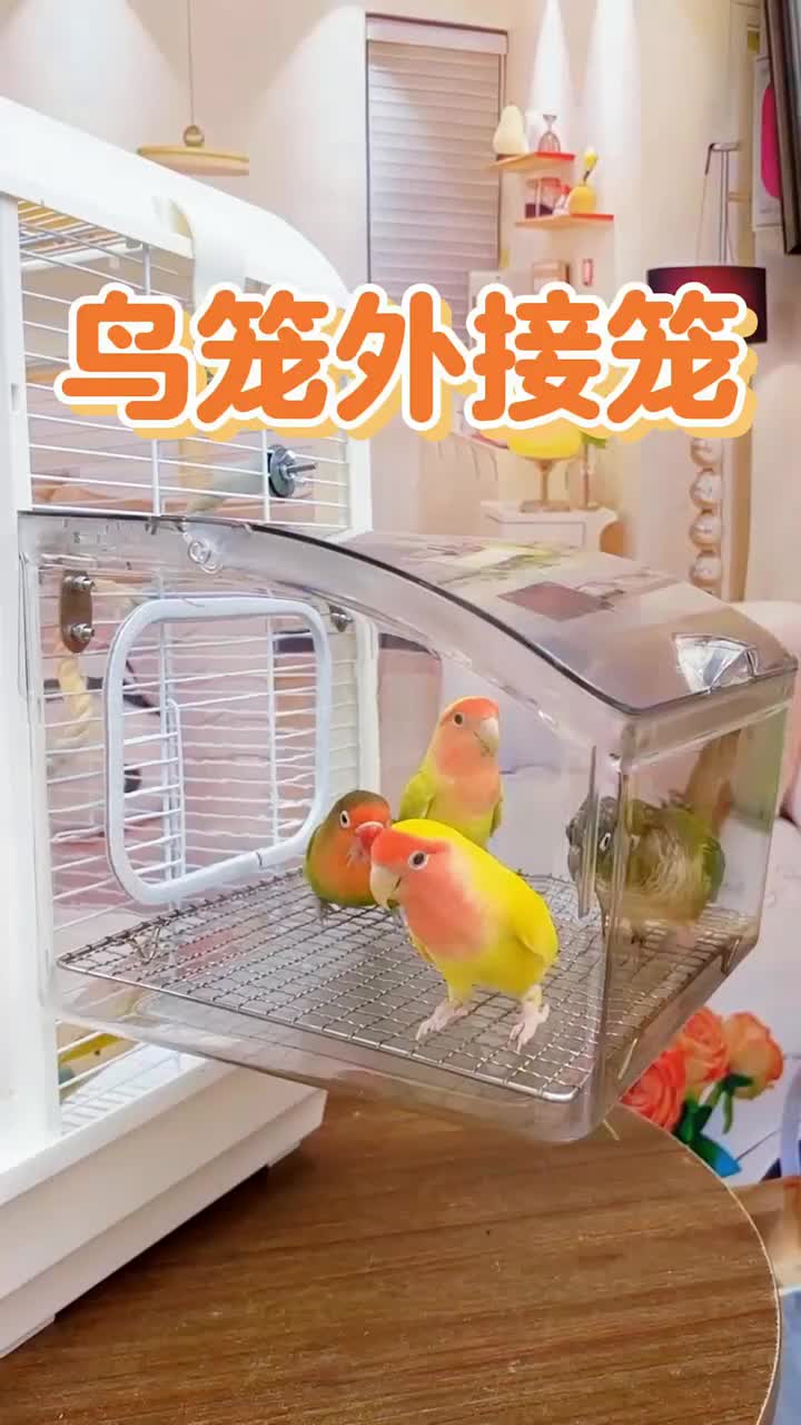@chinabirds47