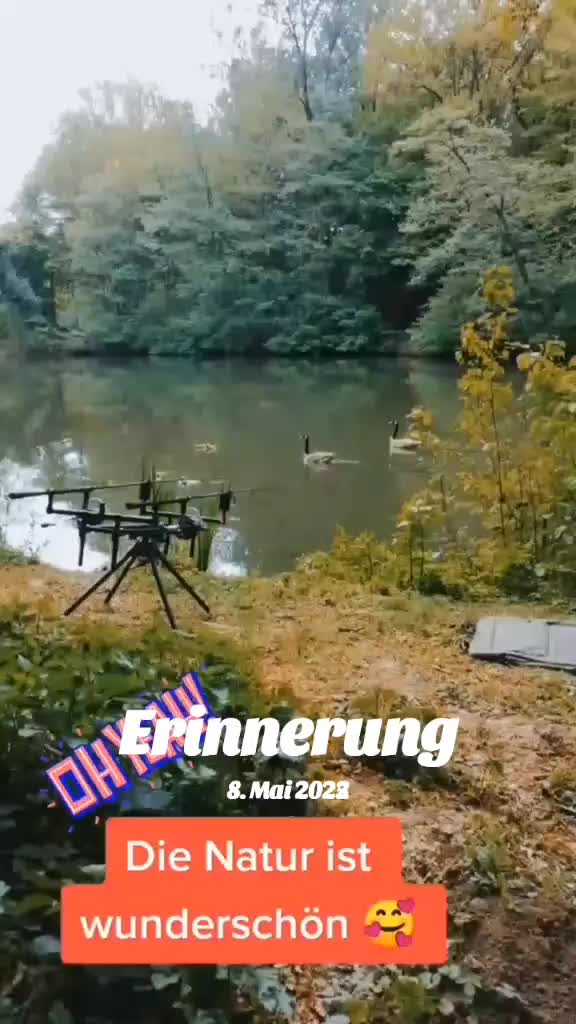 @Sunny