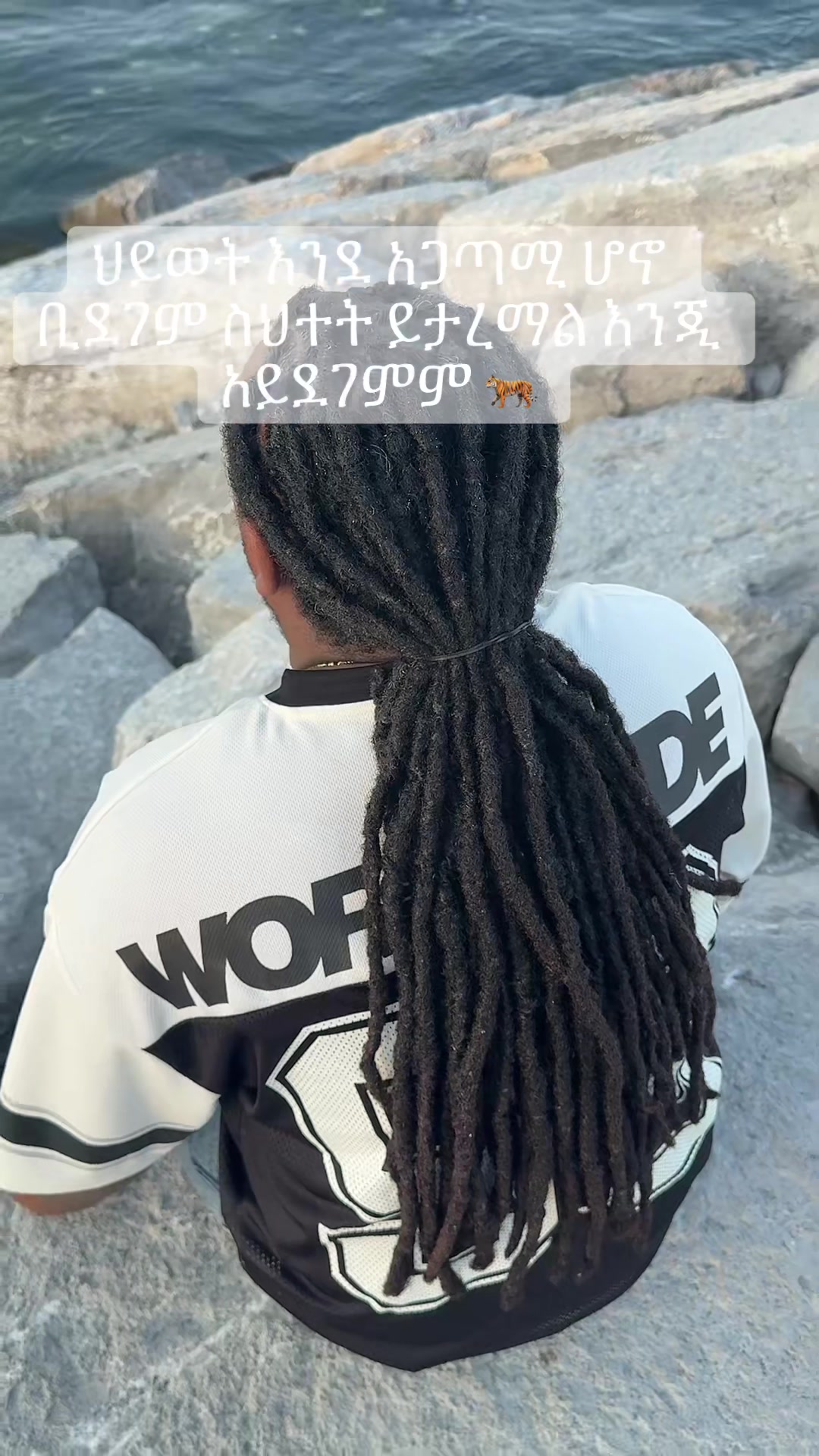 @ሽፈራው ዘለቀ