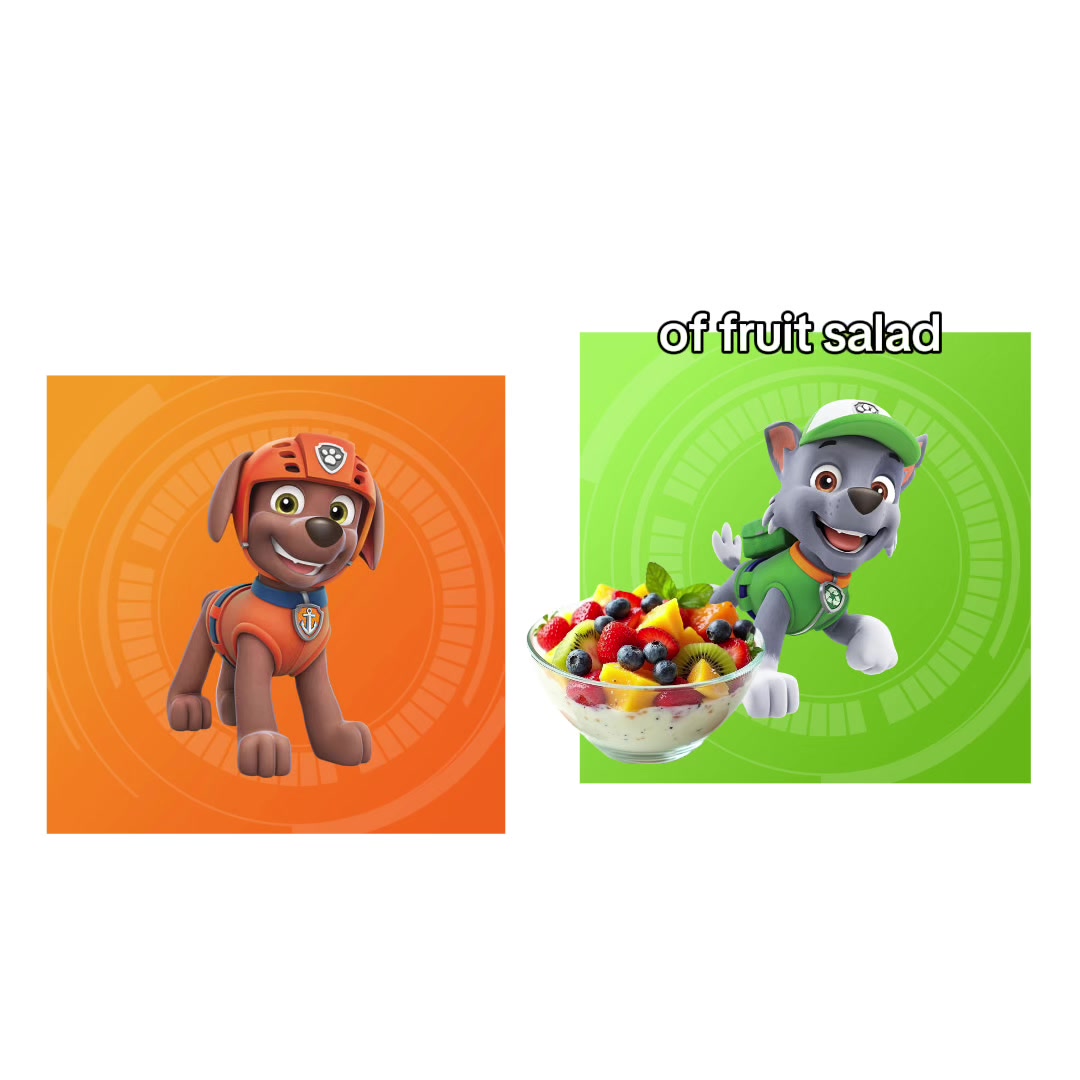 @rockyZumaFurry PAWsome toys!