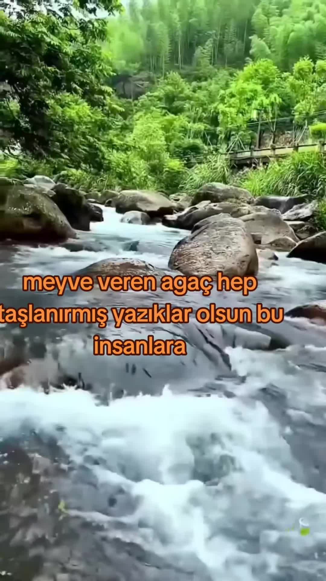 @Mehmet arslan38