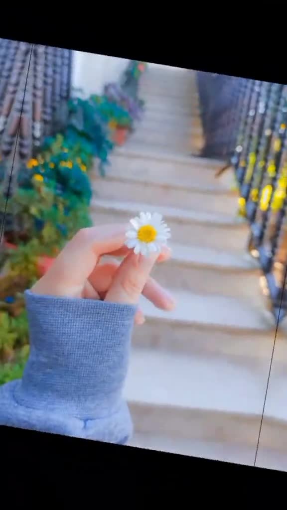 @چ٘ـٌـَـٕــٓڑیِـٓــًــٕــّل