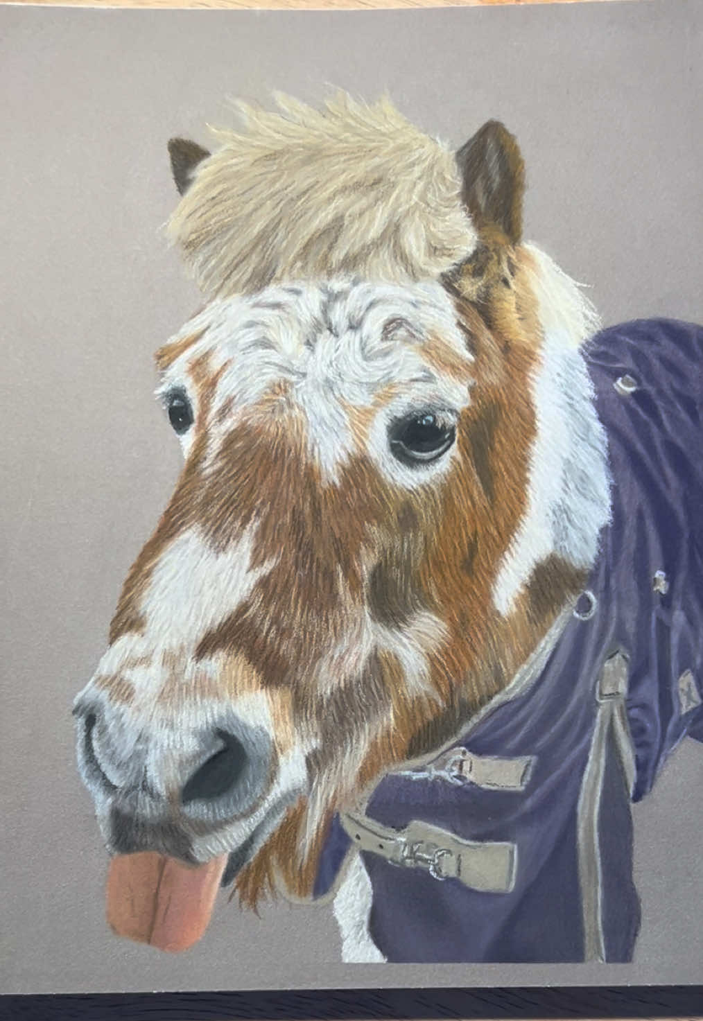 @Pet portraits