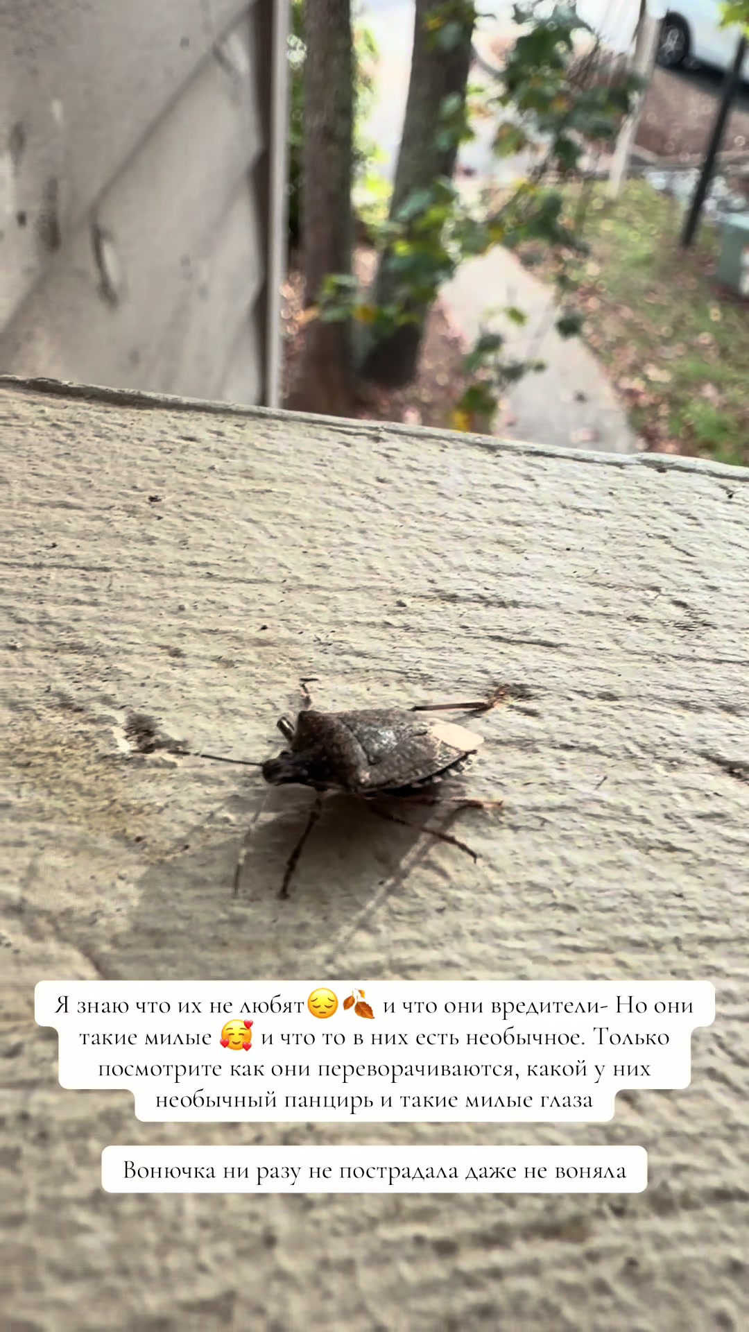 @❀ ﻉ√٥ﺎ 𝕆𝕔𝕖𝕒𝕟 ❀
