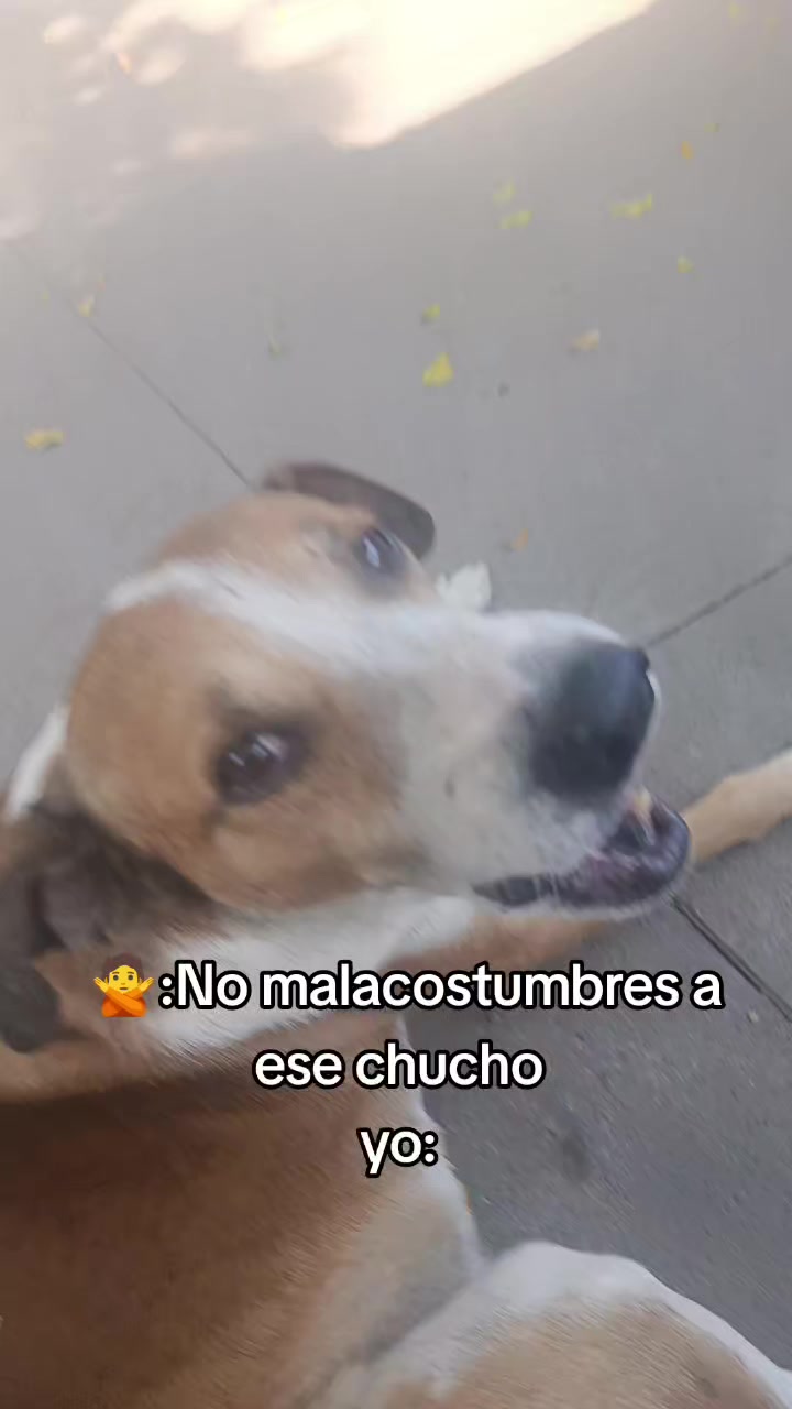 @Fran