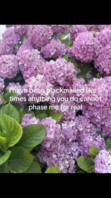 @ames