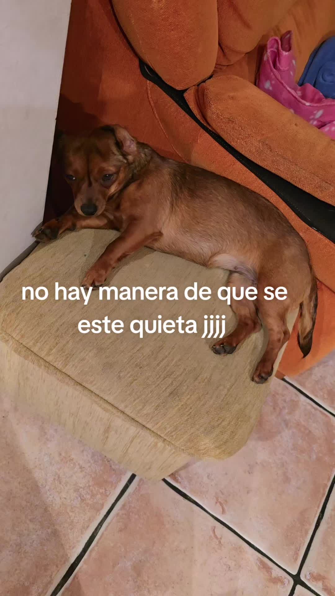 @Pakynorra