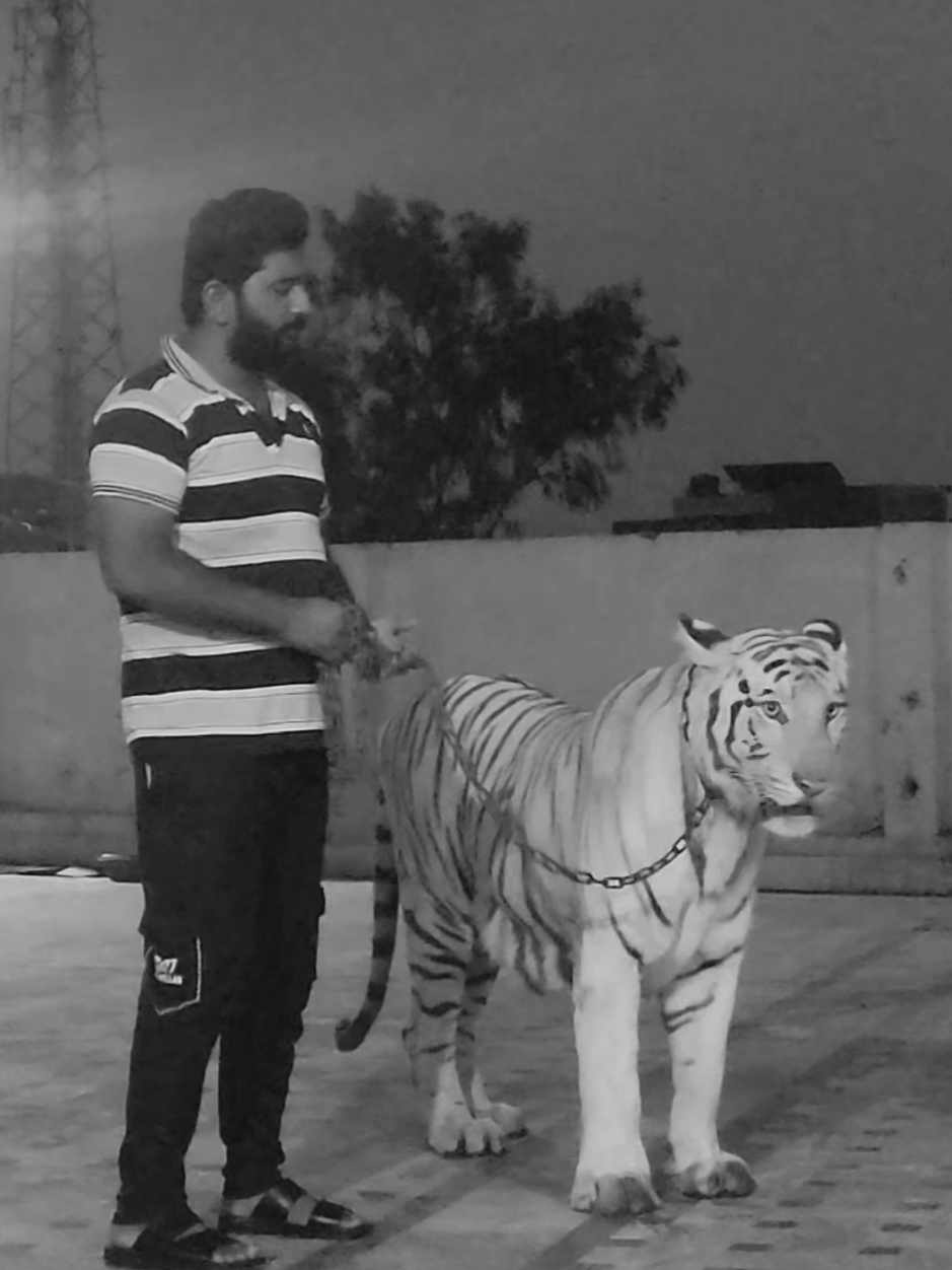@RehAn
