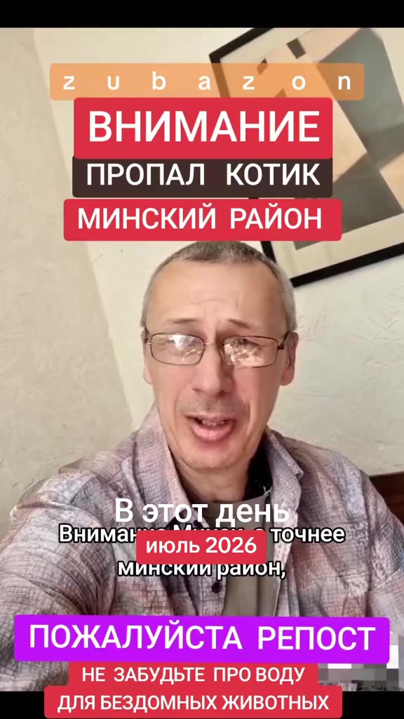 @КОТЫ СОБАКИ И ФИЛОСОФ