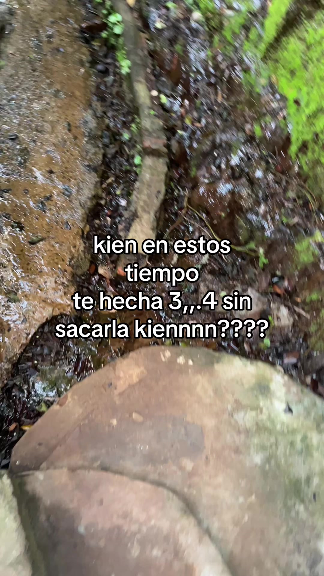 @Lunitaaok