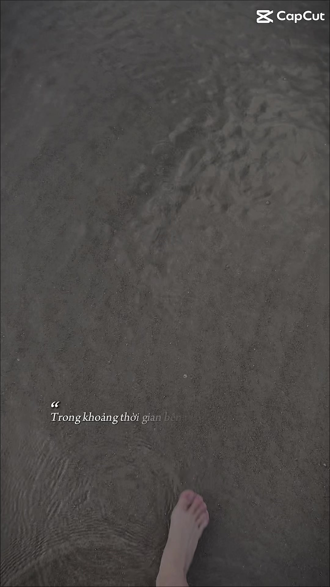 @B&eacute; 𝕭𝖎 🐼