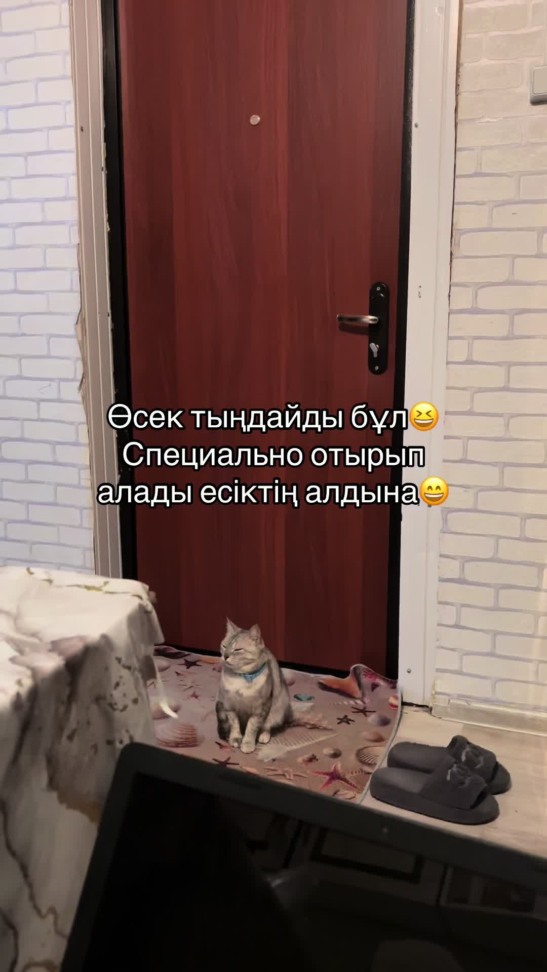 @boni04akx