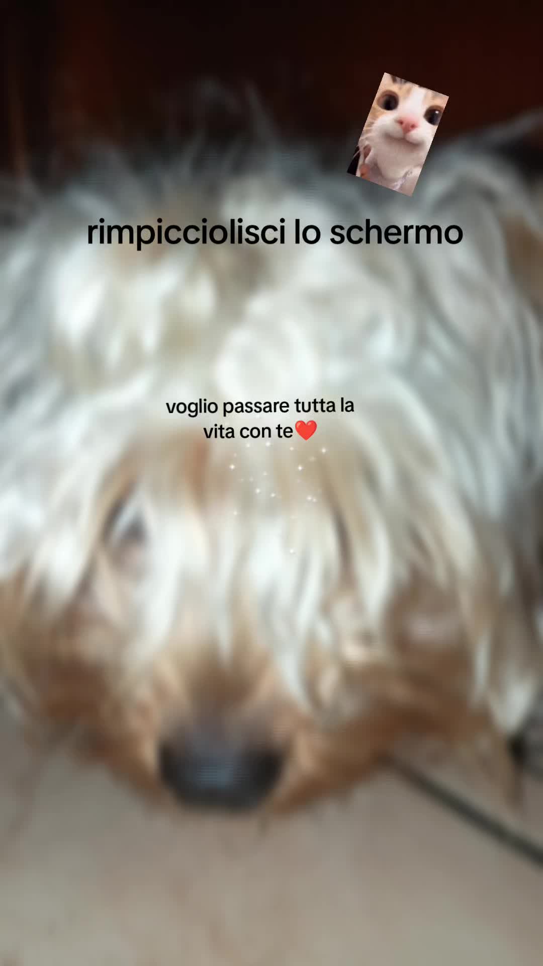 @Maria isabell Stuparu