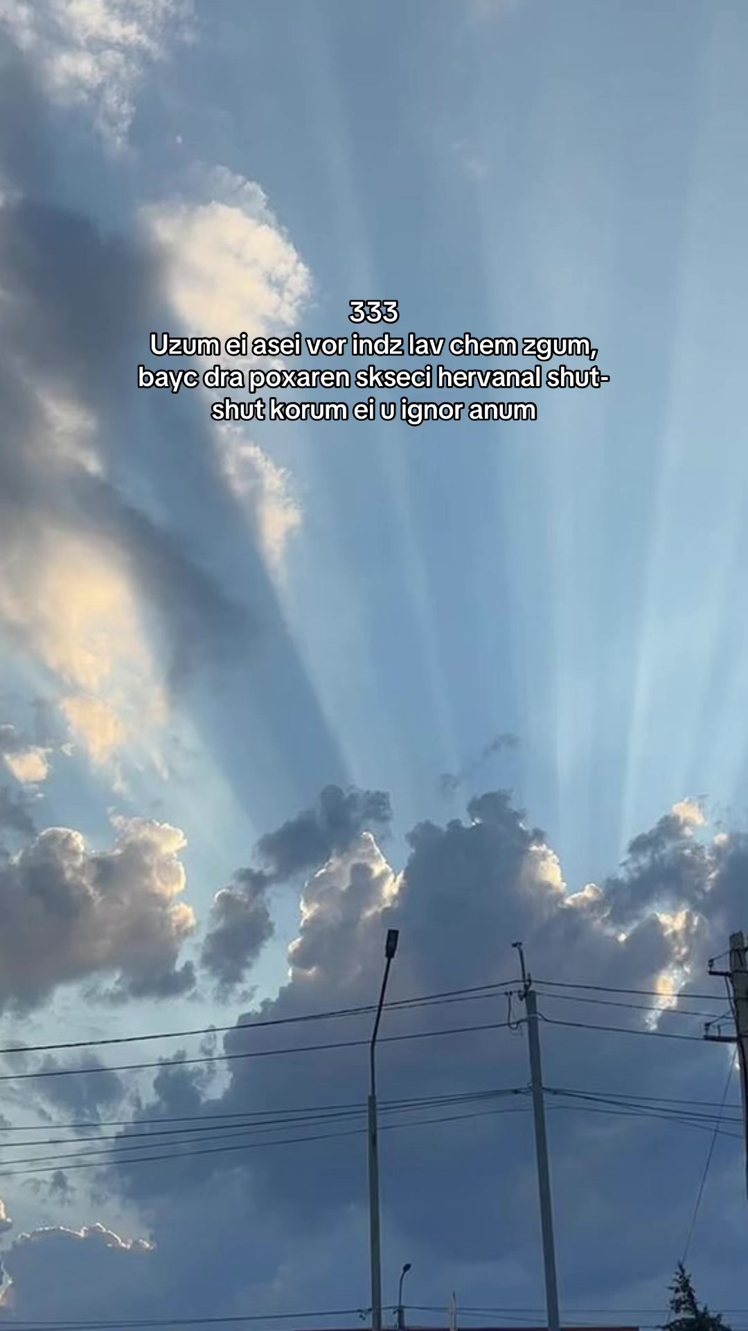 @333