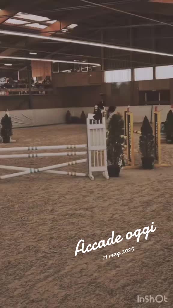 @Desy🐴