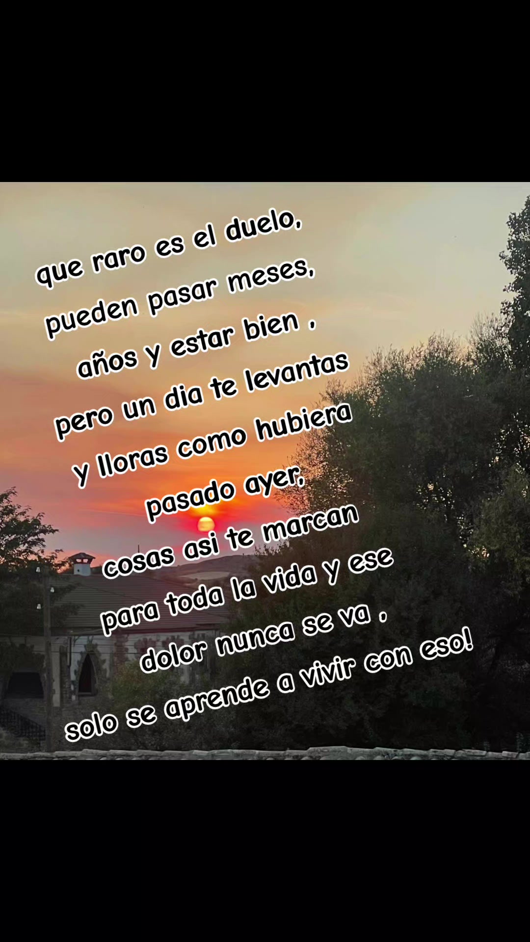 @😻 LALI 😻