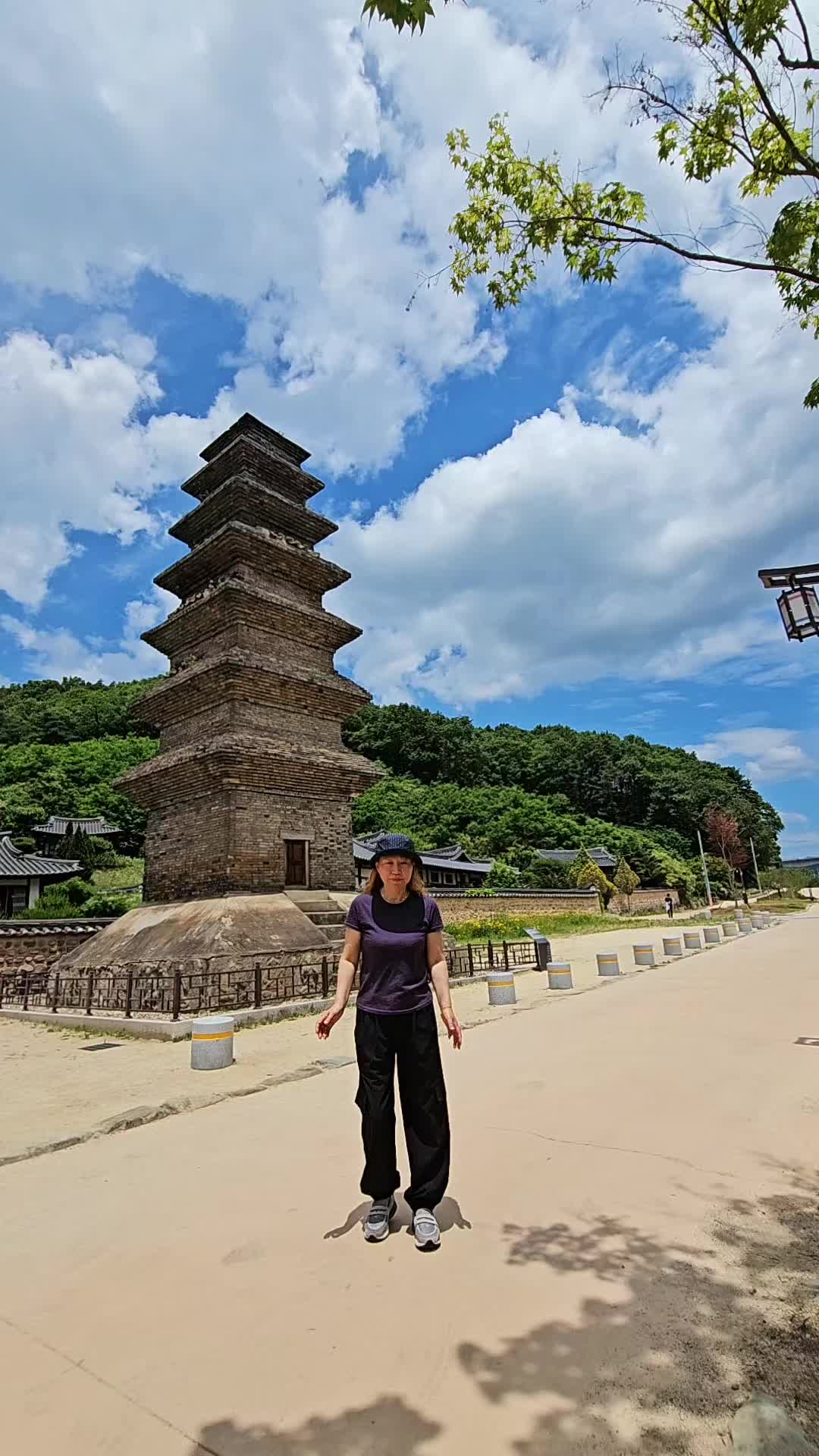 @틱톡왕비