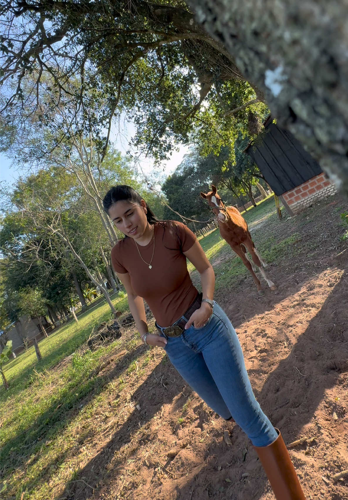 @Leticia Dalila