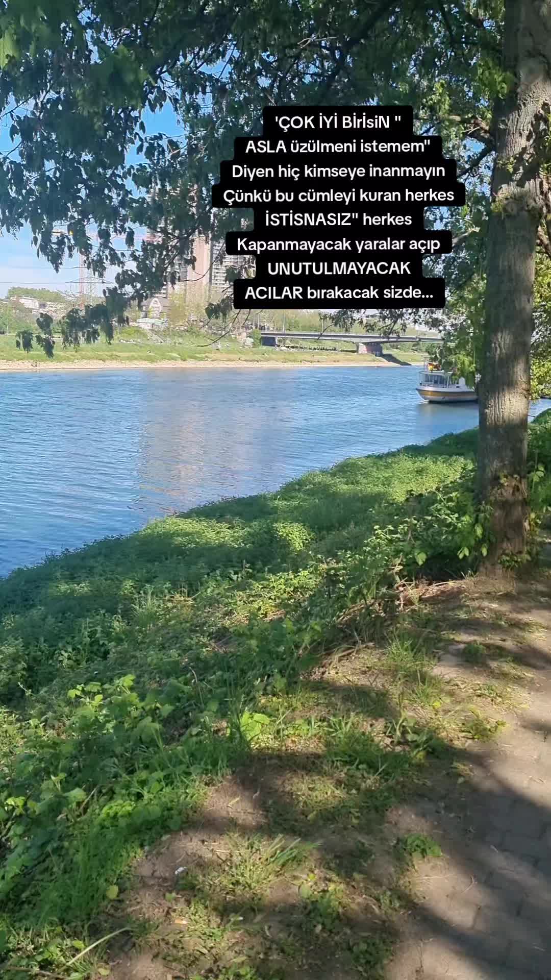 @Ay__nature