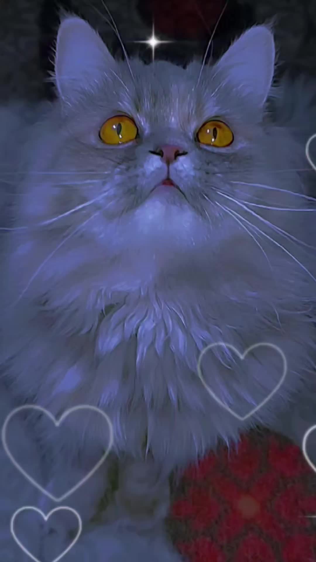 @ɞ乇し丂ム٭ं