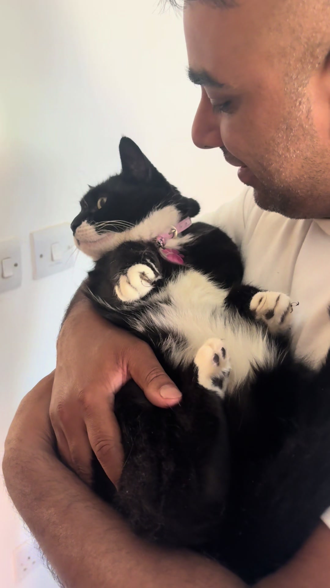 @Mowji the cat